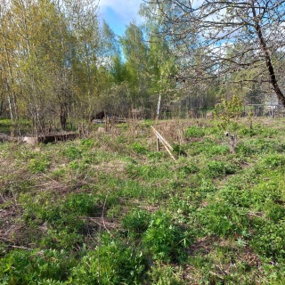 Объявление Дом, 11.3м2, 1 эт, 10 сот.